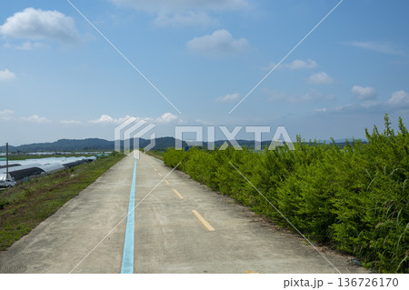 Bicycle path along the Geumgang River Bicycle path along the Geumgang River 136726170