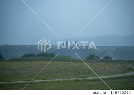 Bicycle path along the Geumgang River 136726210