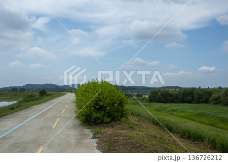 Bicycle path along the Geumgang River Bicycle path along the Geumgang River 136726212