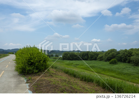 Bicycle path along the Geumgang River Bicycle path along the Geumgang River 136726214