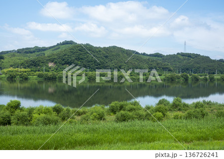 Bicycle path along the Geumgang River 136726241