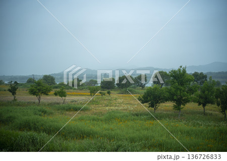 Baekma Riverside Bicycle Path Baekma Riverside Bicycle Path 136726833