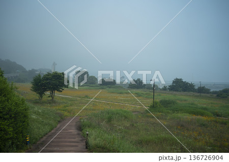 Baekma Riverside Bicycle Path  136726904