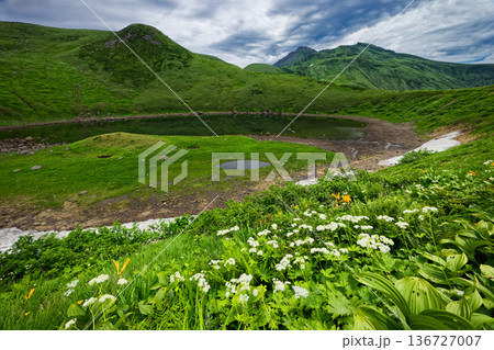 高山植物咲く鳥海湖湖畔から見る鳥海山山頂 高山植物咲く鳥海湖湖畔から見る鳥海山山頂 136727007