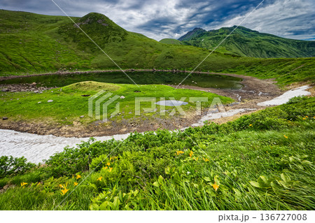 高山植物咲く鳥海湖湖畔から見る鳥海山山頂 高山植物咲く鳥海湖湖畔から見る鳥海山山頂 136727008