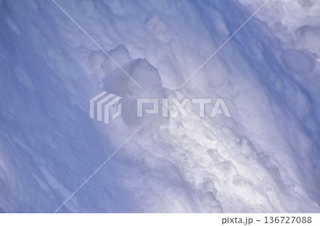 雪 136727088