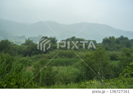 Baekma Riverside Bicycle Path  136727161