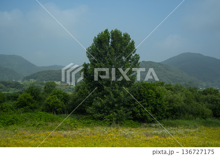 Baekma Riverside Bicycle Path  136727175
