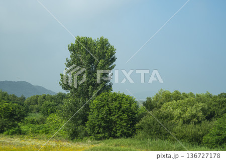 Baekma Riverside Bicycle Path  136727178