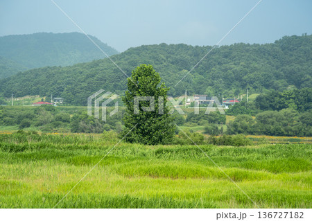 Baekma Riverside Bicycle Path Baekma Riverside Bicycle Path 136727182