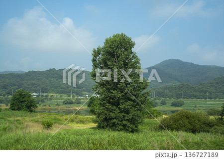 Baekma Riverside Bicycle Path  136727189