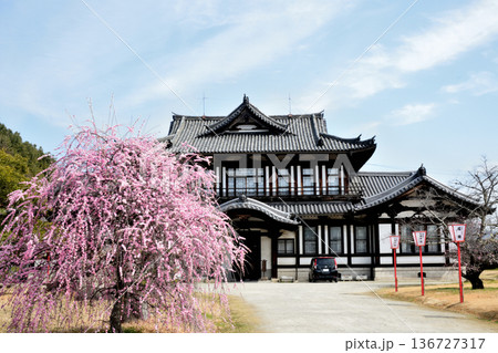 大和郡山城跡(城跡会館・しだれ梅) 　【奈良県大和郡山市】 136727317