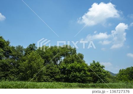 Baekma Riverside Bicycle Path Baekma Riverside Bicycle Path 136727376