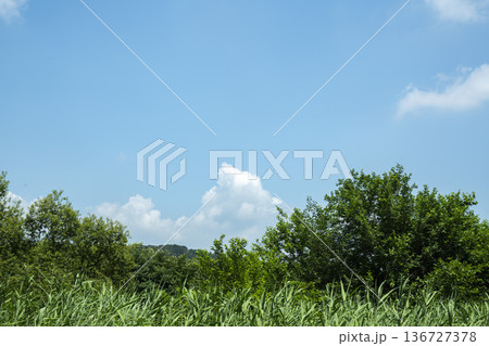 Baekma Riverside Bicycle Path Baekma Riverside Bicycle Path 136727378