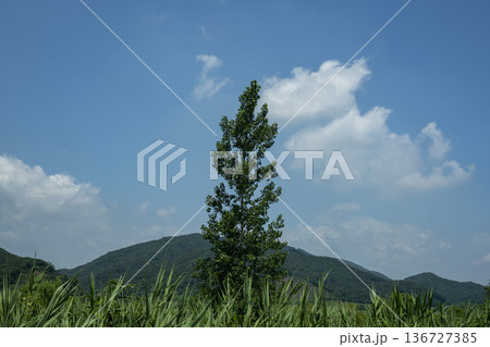 Baekma Riverside Bicycle Path Baekma Riverside Bicycle Path 136727385