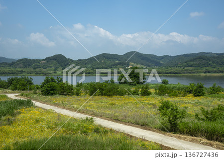 Baekma Riverside Bicycle Path  136727436