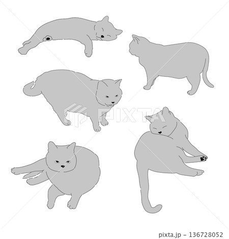 グレーの猫セット グレーの猫セット 136728052