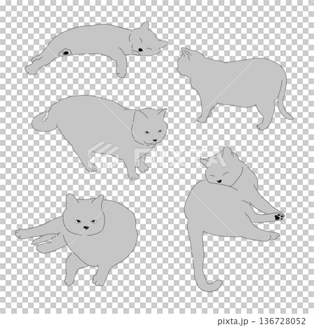 Gray cat set Gray cat set 136728052