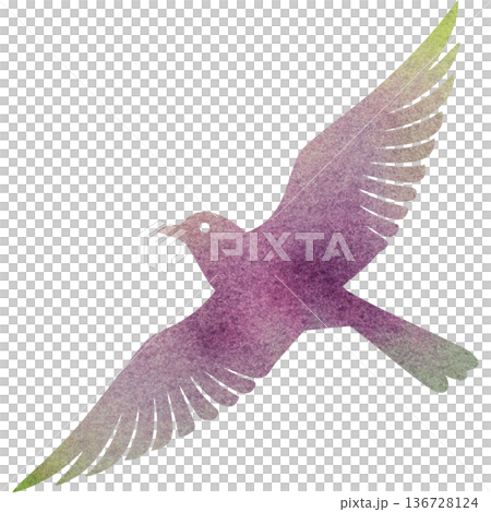 綺麗な水彩模様の鳥のアイコンのイメージのイラスト 綺麗な水彩模様の鳥のアイコンのイメージのイラスト 136728124