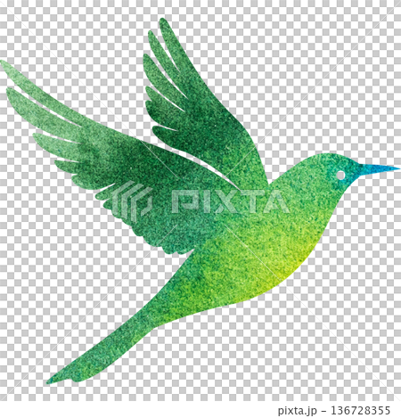 美麗的水彩鳥圖示圖像的插圖 136728355