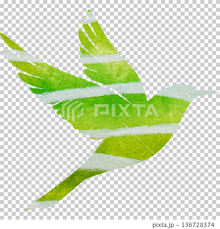美麗的水彩鳥圖示圖像的插圖 美麗的水彩鳥圖示圖像的插圖 136728374