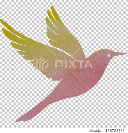 美麗的水彩鳥圖示圖像的插圖 美麗的水彩鳥圖示圖像的插圖 136728381