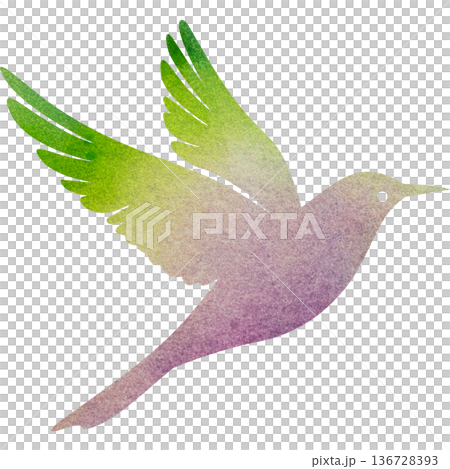 美麗的水彩鳥圖示圖像的插圖 136728393