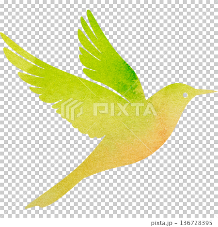 美麗的水彩鳥圖示圖像的插圖 美麗的水彩鳥圖示圖像的插圖 136728395