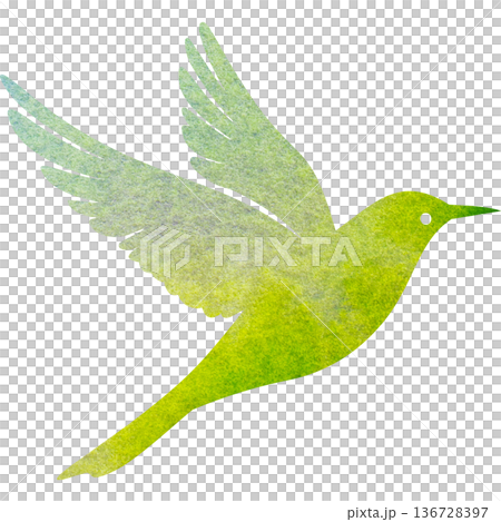 Beautiful watercolor bird icon image illustration Beautiful watercolor bird icon image illustration 136728397