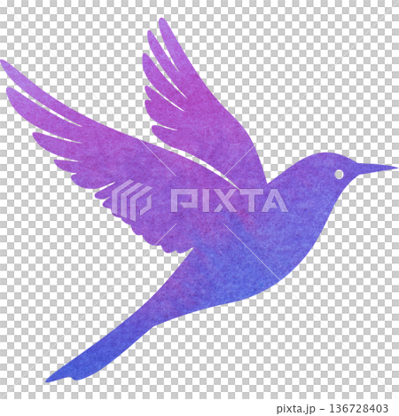 美麗的水彩鳥圖示圖像的插圖 136728403