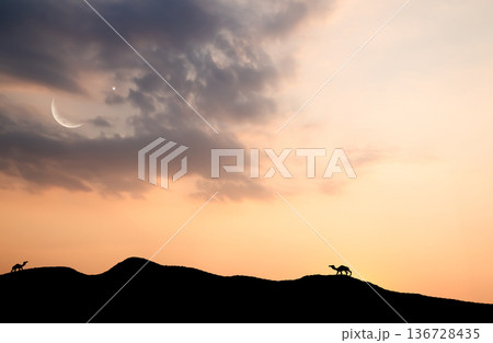 Islam Night Sky Moon Sunset Camel Desert Background Mubaruk Greeting Islam Ramadan Element Masjid Aqsa Hajj Kaaba Umrah Eid Arabian Religion Islamic Muhammad Arab Muslim Namaz Isra Miraj Quran Umrah. 136728435