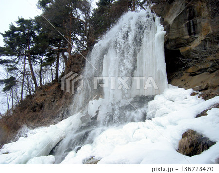 人口の滝、乙女滝の氷瀑(下流) 人口の滝、乙女滝の氷瀑(下流) 136728470
