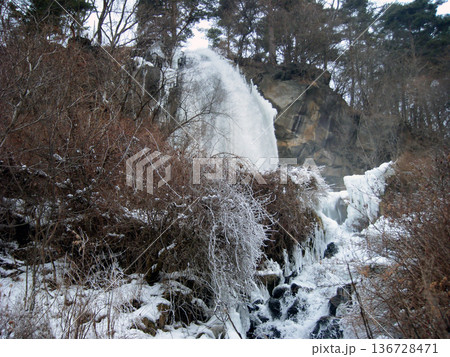 人口の滝、乙女滝の氷瀑（下流） 136728471