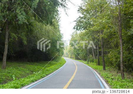 Han River bike path 136728614