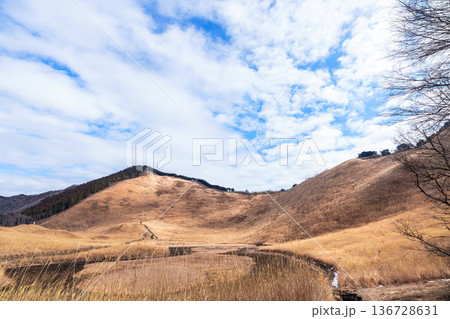 茶色から黒へ 2026早春曽爾高原の山焼き 点火前雲間から青空がのぞき始めた空 茶色から黒へ 2026早春曽爾高原の山焼き 点火前雲間から青空がのぞき始めた空 136728631
