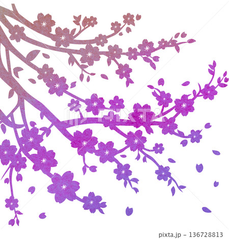 綺麗な水彩模様の桜の木のアイコンのイメージのイラスト 綺麗な水彩模様の桜の木のアイコンのイメージのイラスト 136728813