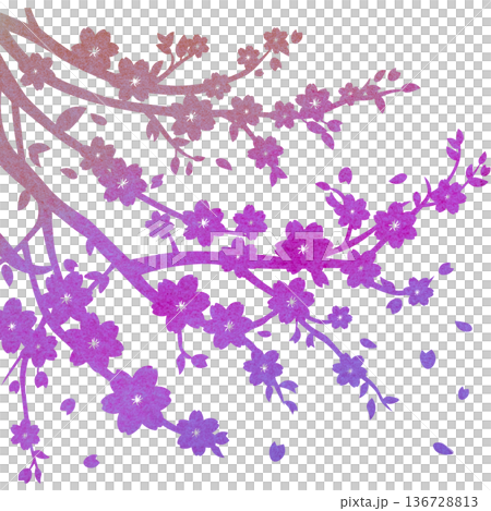 綺麗な水彩模様の桜の木のアイコンのイメージのイラスト 綺麗な水彩模様の桜の木のアイコンのイメージのイラスト 136728813