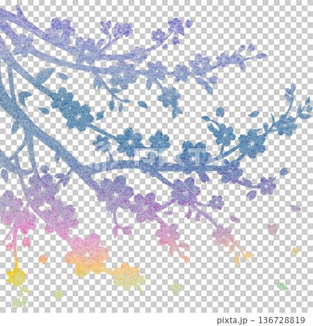 Beautiful watercolor cherry blossom tree icon image illustration Beautiful watercolor cherry blossom tree icon image illustration 136728819