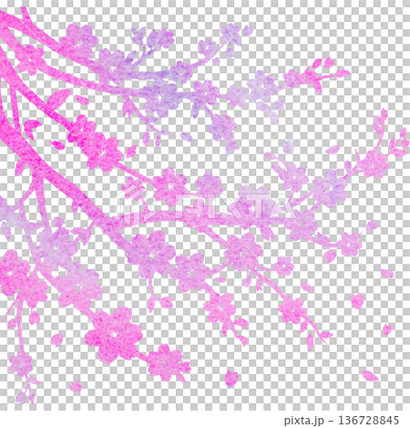 Beautiful watercolor cherry blossom tree icon image illustration Beautiful watercolor cherry blossom tree icon image illustration 136728845