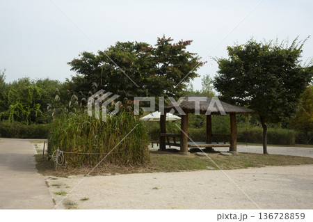 Han River bike path Han River bike path 136728859