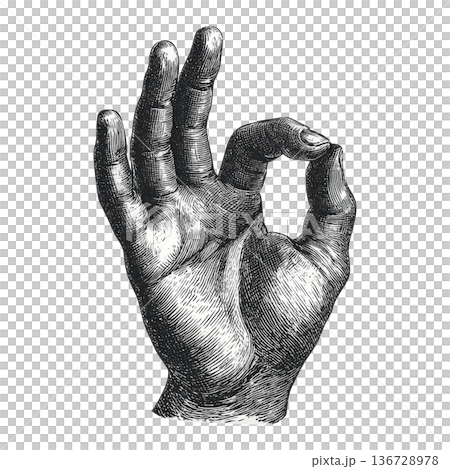 Engraved depiction of a hand making an OK gesture in detailed line style on white background, representing approval and positivity 136728978