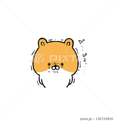 涙を堪えるゆる可愛いハムスター 136729926