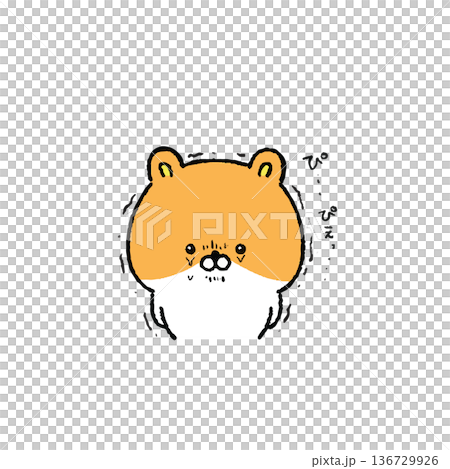 涙を堪えるゆる可愛いハムスター 136729926