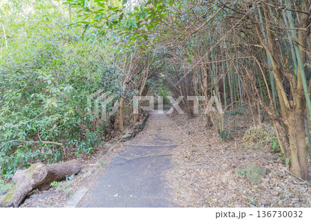 信貴山口駅付近にある高安山の登山口（生駒山地） 136730032