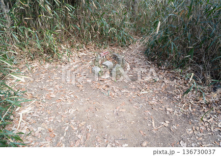 高安山の山頂(生駒山地) 高安山の山頂(生駒山地) 136730037