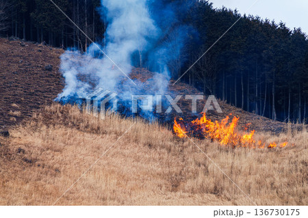 茶色から黒へ 2026早春曽爾高原の山焼き 点火 山の上部から燃えていく高原① 茶色から黒へ 2026早春曽爾高原の山焼き 点火 山の上部から燃えていく高原① 136730175
