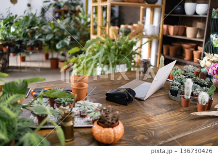A cozy plant shop displays a variety of greenery, including succulents and cacti, on a rustic wooden table A cozy plant shop displays a variety of greenery, including succulents and cacti, on a rustic wooden table 136730426