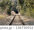 森へ続く線路と暗いトンネル 136730552