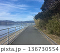 湖畔に続く静かな遊歩道 136730554