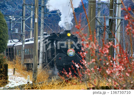 梅花と春の雪…【SL大樹】C11325 136730710